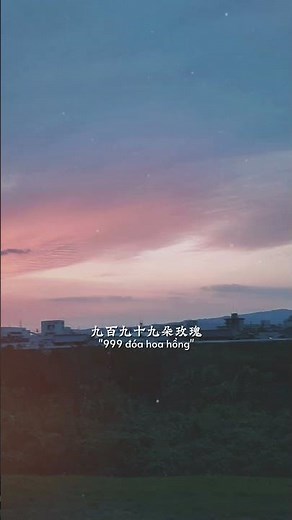 999 Đóa hoa hồng #xuhuongyoutube #thinhhanh #nhạchoa #lyrics #vairalvideo #sad #music #tamtrang