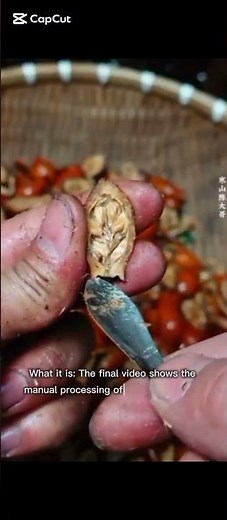 Processing Medicinal Fruits