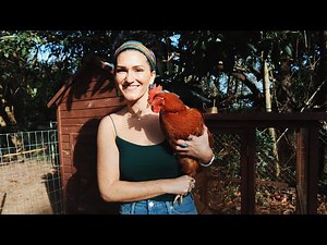 10 Things I Wish I Knew Before Getting Chickens!| North Florida Homesteading