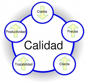 Características de la reingeniería