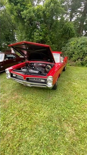Little gto Bad bad bad