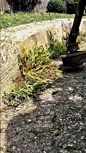 Sharp Walkway Lawn Borders and Crisp Edges for Clean Transformation 🚶 | #lawncare #trimming