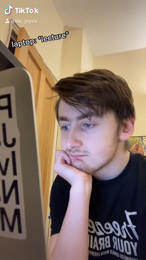 The Muppets: Kermit's Online Lecture Brain Frenzy