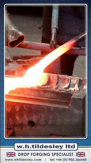 W.H.Tildesley Drop Forging Specialist - Special Winged Nuts - G879