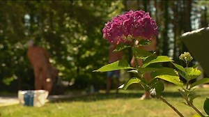 116K views · 46 reactions | On connait tous les joies du camping, mais connaissez-vous les joies du naturisme au camping ? Initiation dans ce camping de Collonges-la-Rouge  | France 3 Rhône-Alpes | Facebook