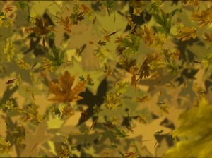 Camo Falling Leaves Loop | Vision 111