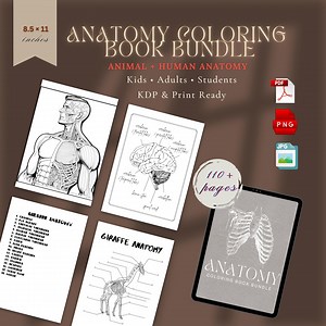 Anatomy Coloring Book Bundle | Human Body & Animal Anatomy | Anatomy Study Guide for Students | Printable Coloring Pages - Etsy Canada