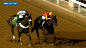 What a battle! #7 COMMISSIONER KING and #12 Havnameltdown dueled to the wire in the G3 Saudi Derby, with Commissioner King getting up to win. Luis Morales up for the victory. The winner is by Pimlico Special victor Commissioner. | FanDuel Racing
