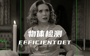 EfficientDet物体检测Demo