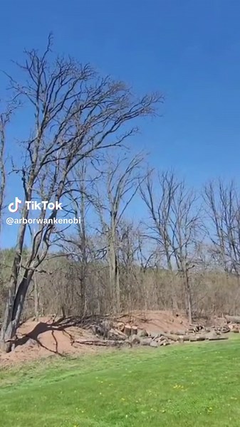 ArborWanKenobi (@arborwankenobi)’s videos with Spirit in the Sky - Norman Greenbaum