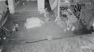 ⚠️ Camera vụ trộm cho sáng nay ở gần cổng TDP. Trụ Thượng, phường Lê Đại Hành. Đúng là nhanh như chớp... -------- #NCL #NgườiChíLinh #ChíLinh #HảiDương #ThànhphốHảiPhòng | Người Chí Linh