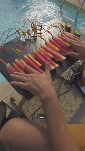 Geometry in Nature on Instagram: "Did you know watermelons can produce electricity? It’s wild, but true—since they’re mostly water and packed with ions, they can actually conduct electricity! And if that’s not cool enough, artists like Mezerg are taking it to the next level, using watermelons to play music like a keyboard. Yes, you read that right—he’s literally making beats powered by fruit! Here are some ways watermelons can generate electricity: • High voltage magic: In one experiment, a wate