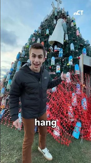 Stonington Lobster Trap Tree set for fifth year