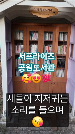 여수에 가면 만날 수 있는 공원 속 도서관! 힐링이 따로 없어요.#여수 #힐링영상 #감성여행 #도서관