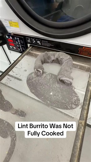 Lint Burrito Was Not Fully Cooked #laundromat #cleantok #cleaning