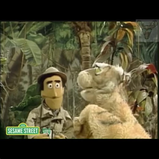 #classic #vintagesesamestreet #oldschoolsesamestreet #sesamestreet #guysmiley