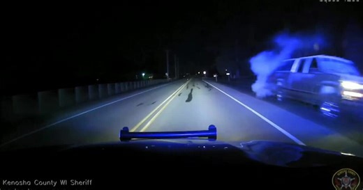 Driver identified after deadly collision with cow in Kenosha County