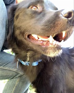 7.8K views · 545 reactions | Wonder ❤️ Day one: she slept quietly in...