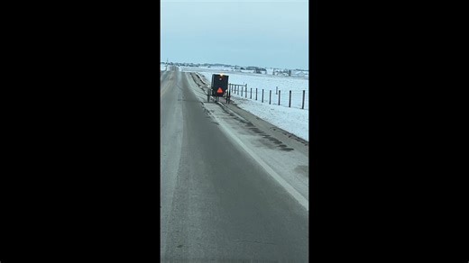 Let's talk a bit about how to pass buggies, pony carts and other horses on the road. Since I'm a horseman, I've seen quite a bit so here goes. For the most part, horses in these parts are "traffic-broke" and have seen seen vehicles before. That means you don't have to swerve way out into the opposite lane, nor should you pass too closely. That said, horses are prey animals and can spook at flapping plastic or things they HAVEN'T seen. Keep an eye on the horse - it's not hard to tell if the drive