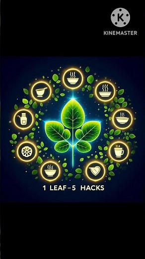 5 Genius Ways to Eat MORINGA 🌿 (You’ll Wish You Knew Sooner!)