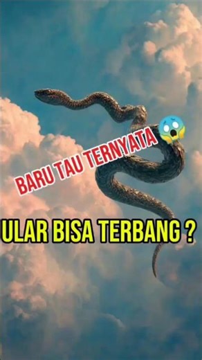 ULAR BISA TERBANG😱 Rahasia Tubuh yang Dilipat Udara#faktahewan #faktaunik #shorts #ular #shortvideo