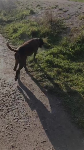 Molly Batchelor (@mollybatchelor)’s videos with BoHo Days Tick Tick Boom Jonathan Larson - Fictional characters r better