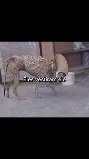 Efeitos Práticos no Filme Alien 3: Uma Polêmica