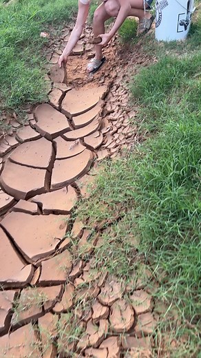 18K views · 560 reactions | The long awaited wild clay test results...