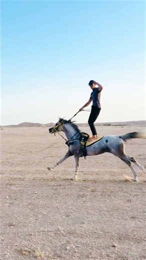 Incredible Horse Balance: Riding Standing Up on a Galloping Arabian Stallion!