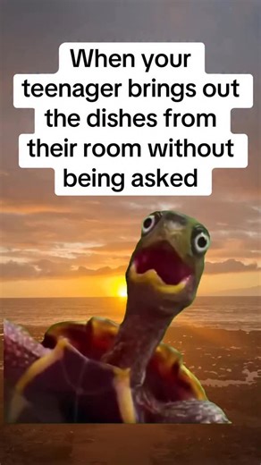 Teenagers #funny #jokes #comedy #reels | Serious Stevee