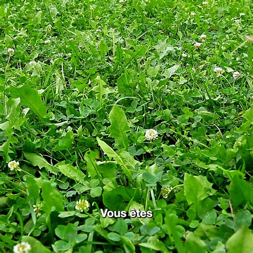 Adoptez des gestes simples pour sécuriser vos mots de passe. Choisissez-les robustes et uniques en fonction des différents sites et applications utilisés. On vous explique 👉 https://oran.ge/41arppl | Orange