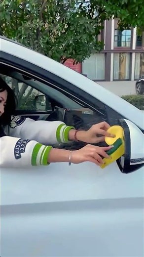 🌳Rearview Mirror Protector 🚗 | Waterproof Anti-Rain & Snow Side Mirror Cover #3350 ‪@sovorsgadget‬