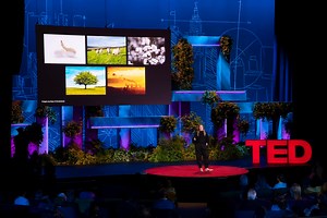 5 Fantastic TED Talks On Sustainability You Can Listen To Now