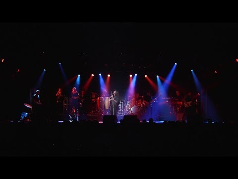 Hard Knocks (Live) - The Joe Cocker Express (AU)