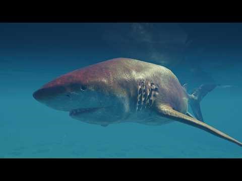 Megalodon Bull Shark Edits Mod Showcase