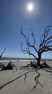 38K views · 1K reactions | It's worth the drive  | Jekyll Island | Facebook
