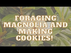 Foraging and Making Magnolia Cookies (Alexis Nikole's Recipe!)