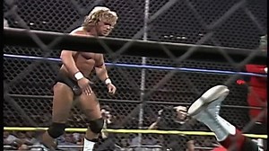 Slamboree 1993 (May 23, 1993)