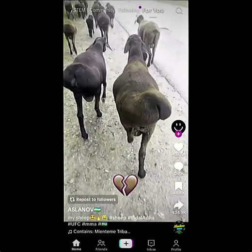 GYATTINO FART💀 | #meme #edit - #capcut #edit #meme #trend #shorts #tiktok #trollface
