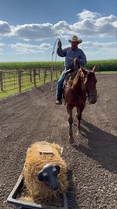 It doesn’t take much to entertain me. Dragging a homemade roping dummy behind a 4 wheeler can do the trick! This opens up a whole new way of practicing! And since my son love to drive the 4 wheeler I always have a willing partner😂! Rose is a fun horse to ride (99% of the time😬). Her and I are learning together so we can pass it onto the next horse! I have a long ways to go with the ranch roping. But you don’t get better unless you practice consistently. Never stop learning folks. There’s alway