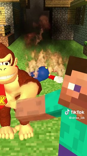 Celebrating Differences: A Mario and SMG4 Minecraft Race