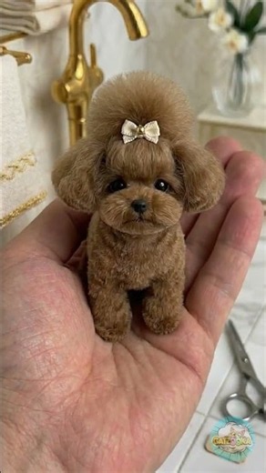 Watch These Mini Dogs Steal Your Heart! 💕 #Shorts