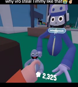 Understanding the Impact of Online Humor on Relationships