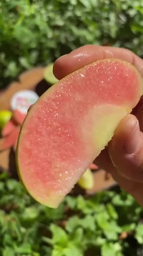 Delicious Lime Juice Recipe with Hidden Rose Apple and Key Lime