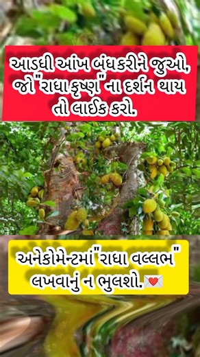 રાધા કૃષ્ણ ના દર્શન થાય તો લાઈક કરો.| Motivation| કૃષ્ણ ભજન |અંતરની વાTo#motivation #short#bhajan