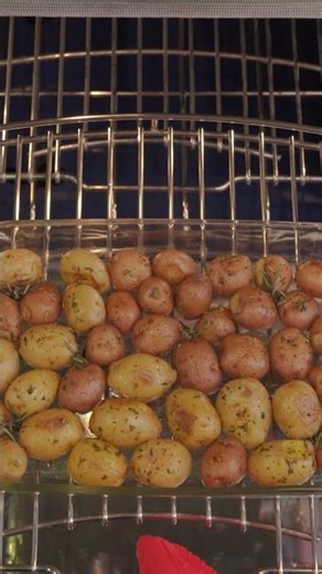 🔥 Wolf. Redefining Culinary Performance and Reliability for generations.