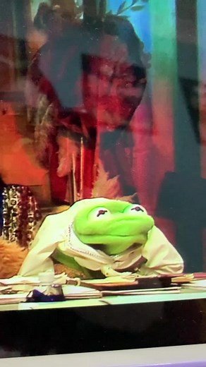 Kermit the Frog Face Scrunch Compilation