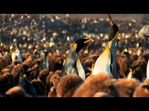 Adventure on National Geographic Explorer