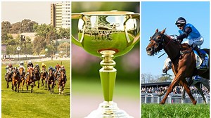 Melbourne Cup 2025 form guide: Every horse rated, winner, best roughie tipped by our expert