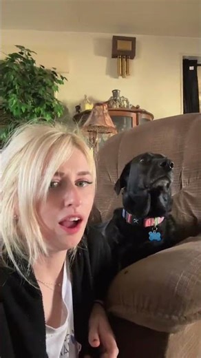 He deserves an award for his acting #pets